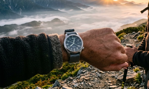 Seiko Alpinist